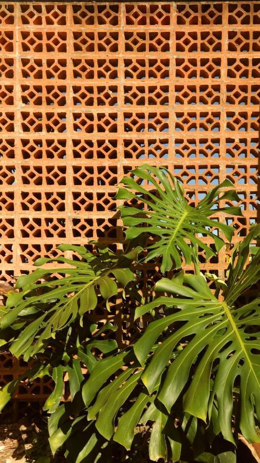 Cabana Surf And Stay Biha المظهر الخارجي الصورة